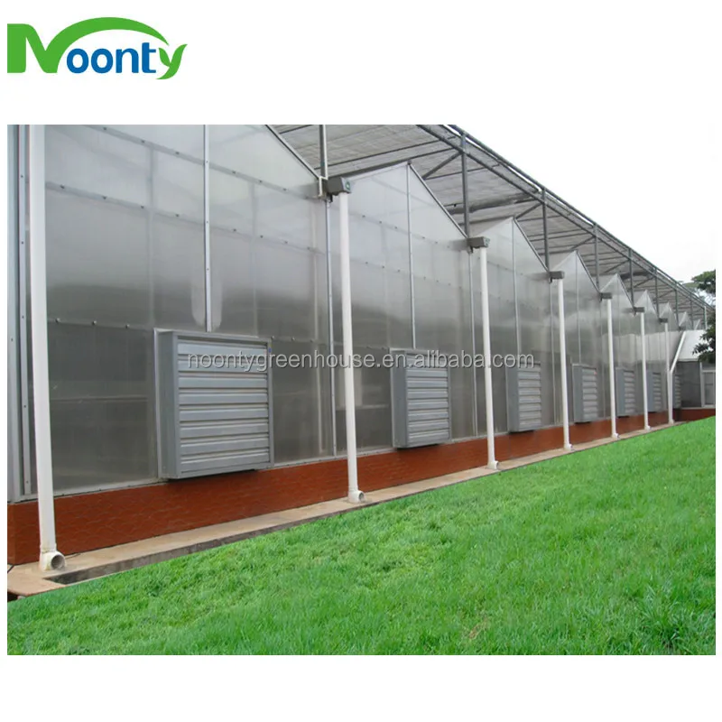 Modern venlo Polycarbonate Glass farming greenhouse Multi-Span Commercial pc sheet Greenhouses Prefab green house overall system