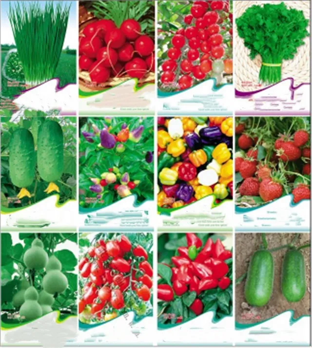 
China supplier All Kinds of Hybrid baby vegetable seeds 