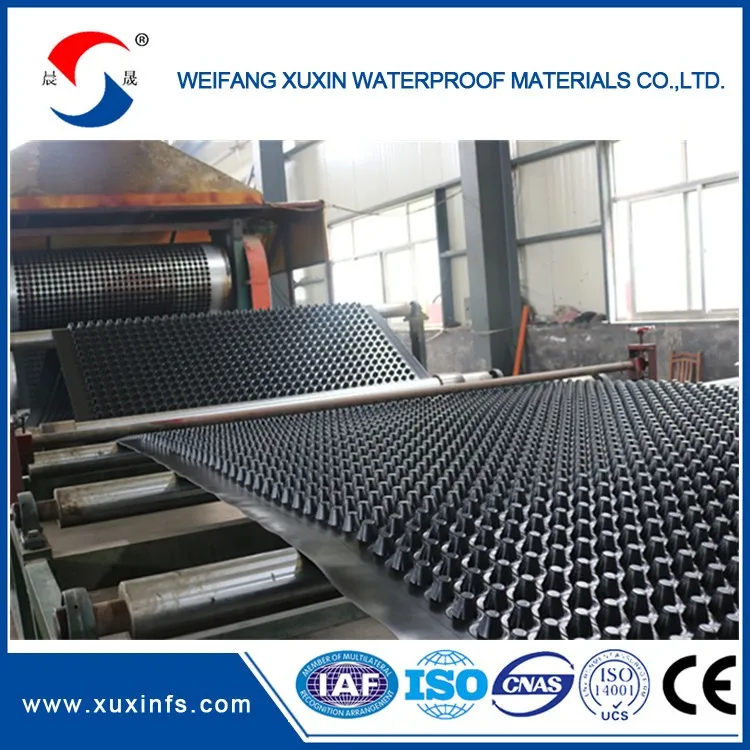 Plastic Waterproof Material Green Roof Drainage Board