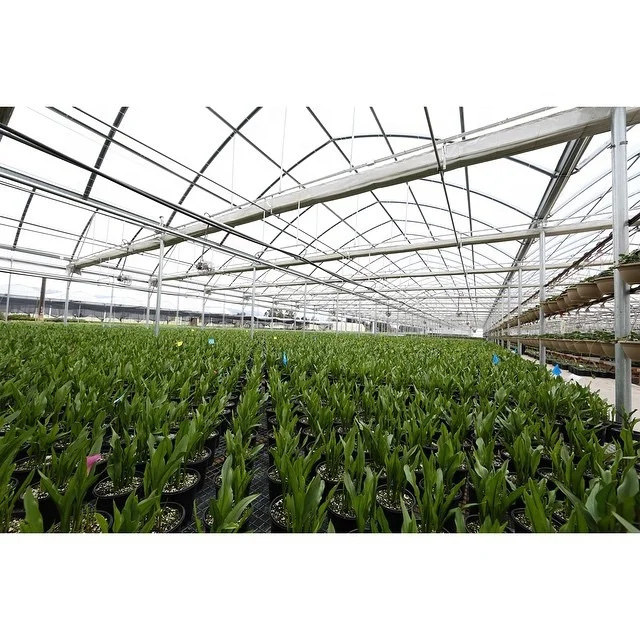 indoor vertical hydroponic systems gutter connect Poly film cover metal greenhouse tower garden vertical farming