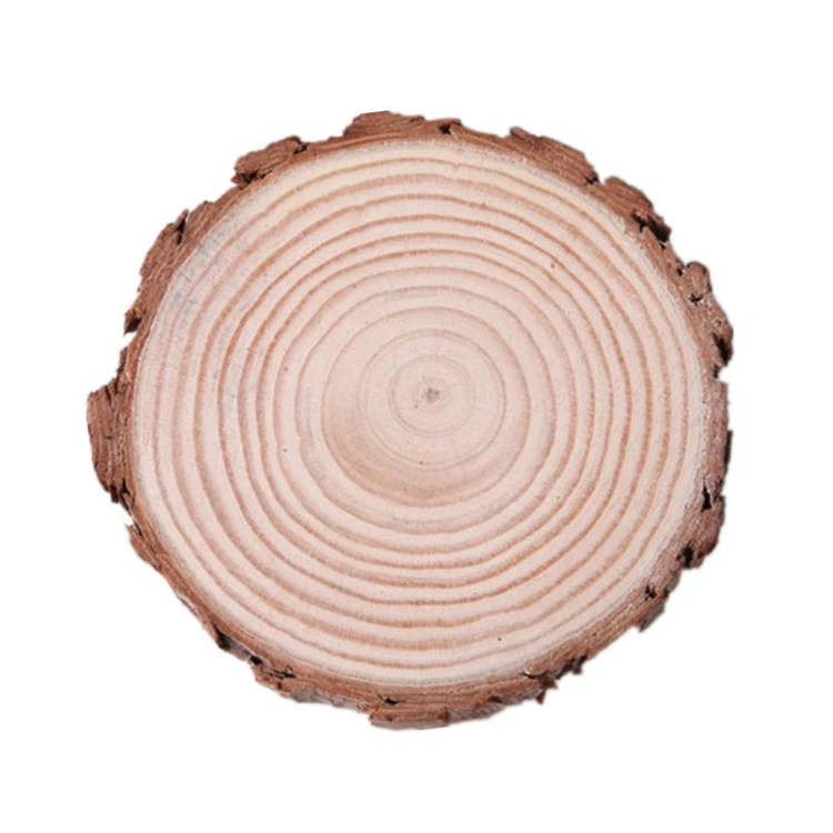 
Bulk custom assorted pack pine wood pieces tree branch decorative round large wood slices for art crafts 