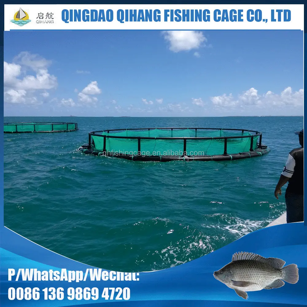 Qihang PE Circular aquaculture equipment plastic fishing farms floating net/cage