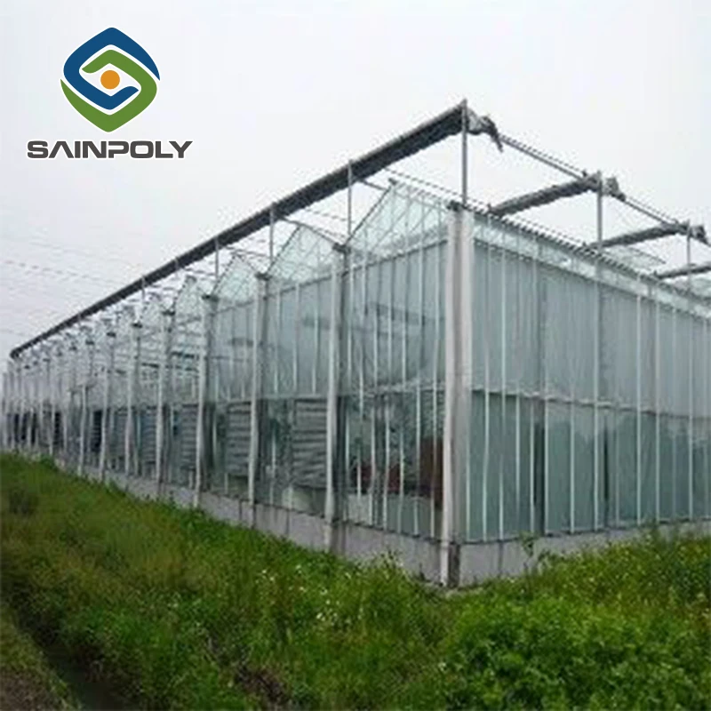 Продажа высококачественных Стеклянных гидропонных томатных панелей для теплиц