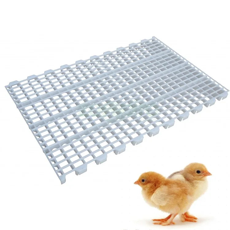 The Animal Husbandry And Livestock Breeding Elegant Leakage Dung Plate