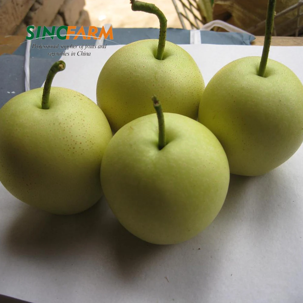 New crop nashi fragrant pear for european marktet