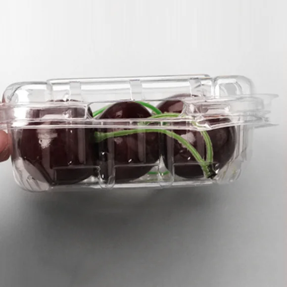 Plastic 125g Disposable Strawberry Blueberry Clamshell Packaging