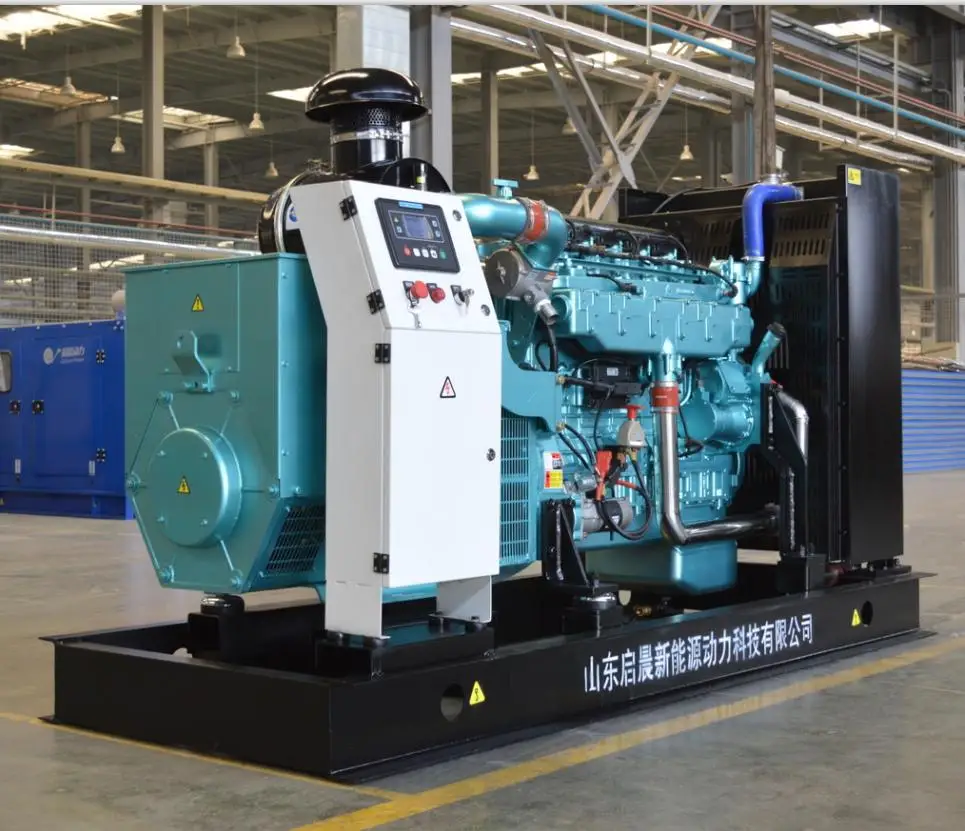 Biogas Power Generator Methane Gas Engine Generator 180kVA 200kVA