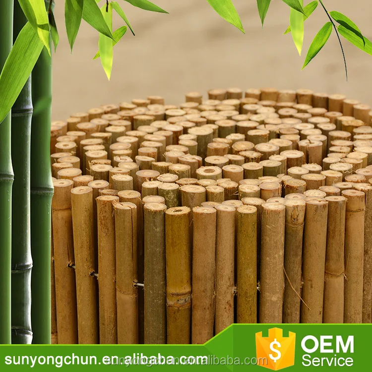 Rural style charming cheap bamboo roll fencing durable natural backyard garden extendible bamboo fence in good quality
