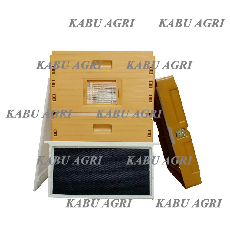 high quality workmanship BPA free Polypropylene plastic 10 frame beehive