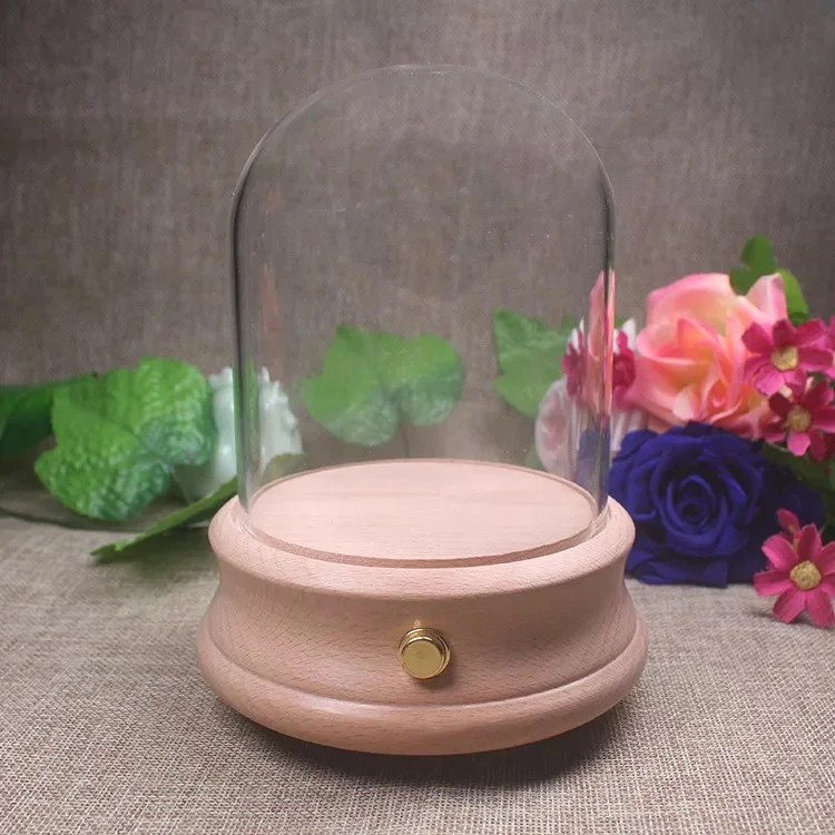 Wholesale glass oval bell jar dome with wooden base and LED