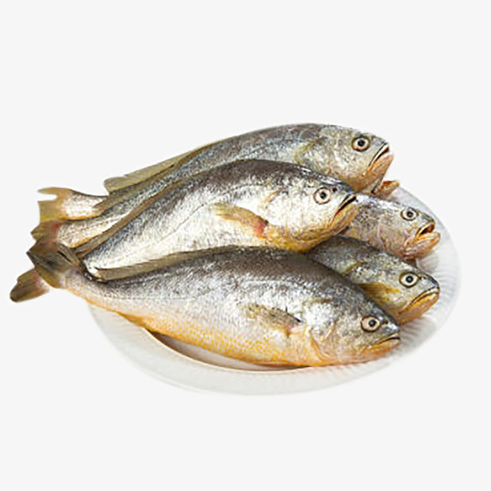 Замороженные продукты для морепродуктов, полосатый большой желтый кувшин