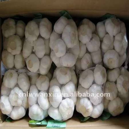 
small packging 10 kg carton garlic 