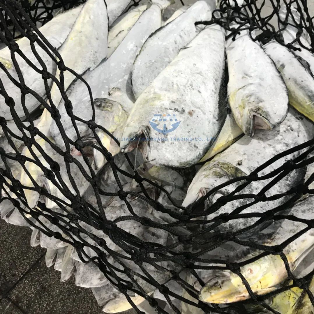 
Whole round seafrozen MAHI MAHI with wholesale price 