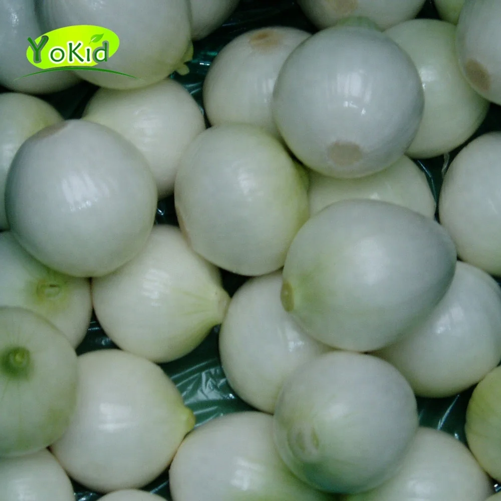 Fresh Organic Red Onion organic lowest natural price