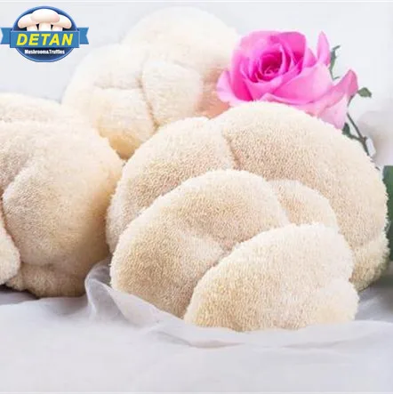 Detan свежий гриб Львиной гривы