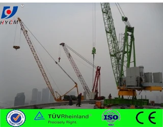 2016 New product Small Luffing crant without masts, Roof crane, Derrick Crane WD60 for sale