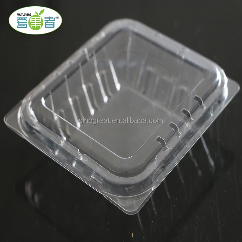 Chinese Supplier blister blueberry plastic fruit container packaging box