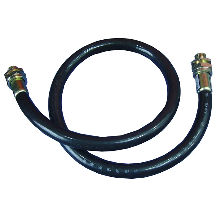 Anti-Explosion/Corrosion Waterproof IP68 Special CCTV Cameras Apply in Chemical Factories and Oil Tankers/Station