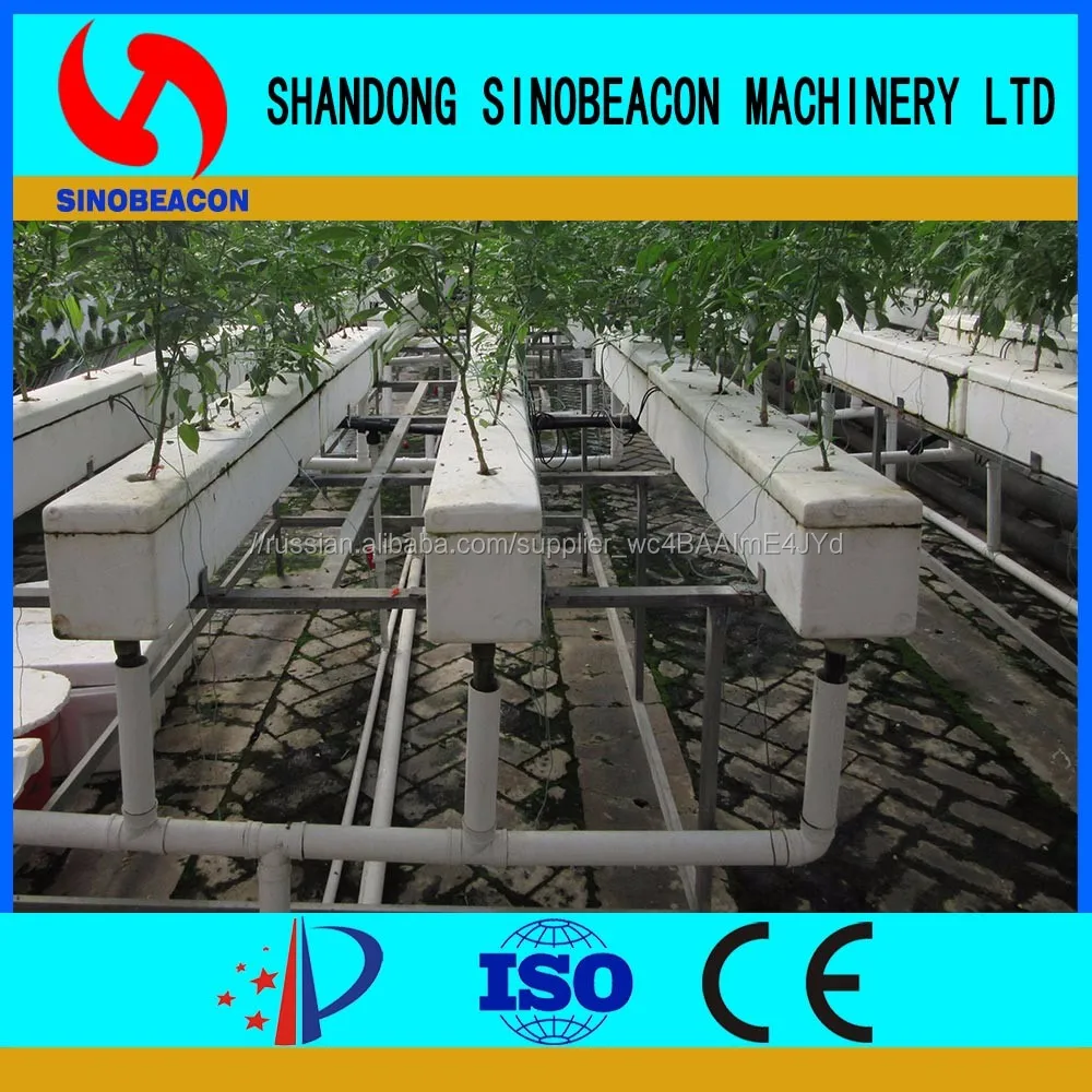 Rockwool рассады Гидропоники Системы