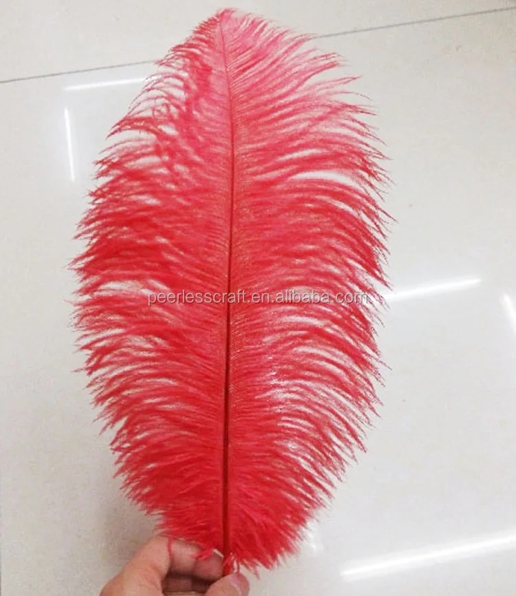 Оптовая Продажа Цветных больших страусиных перьев FC429