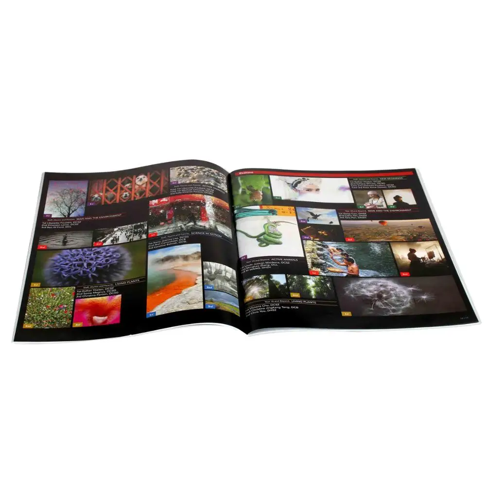 Offset printing wholesale custom low price colour magazine printer