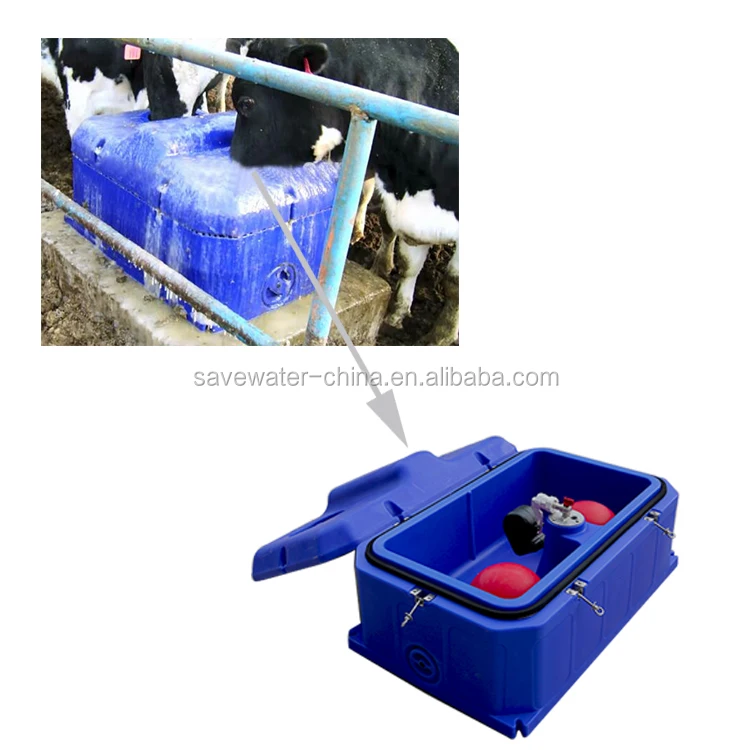 Frost free Auto Drinking Water trough for Livestock farm equipment