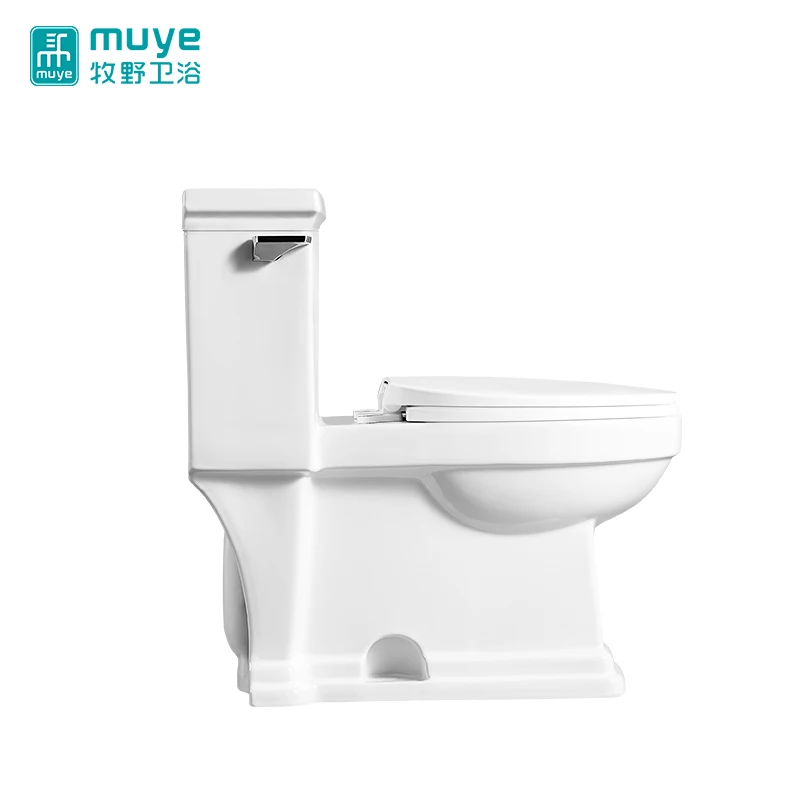 Personality Side Push Button Design Floor Install Siphonic Sanitary Ware One Piece Toilet
