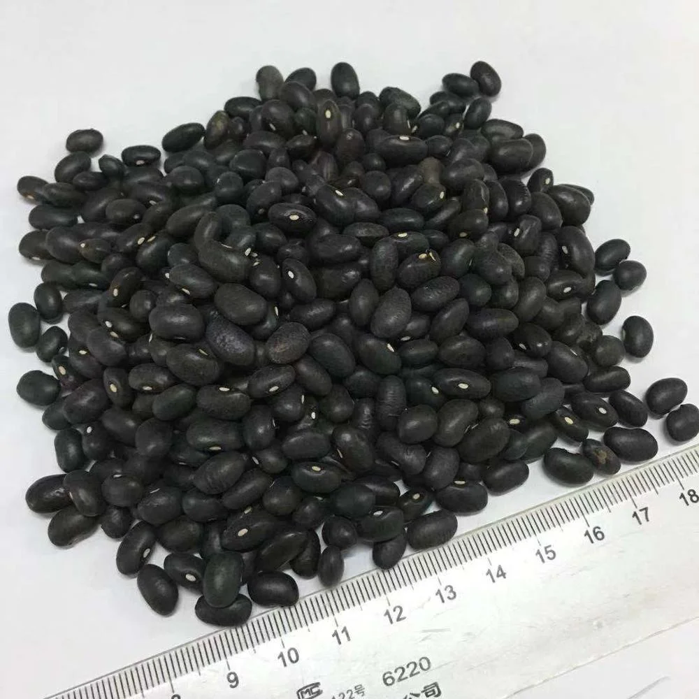 High quality soy bean dry beans black kidney bean
