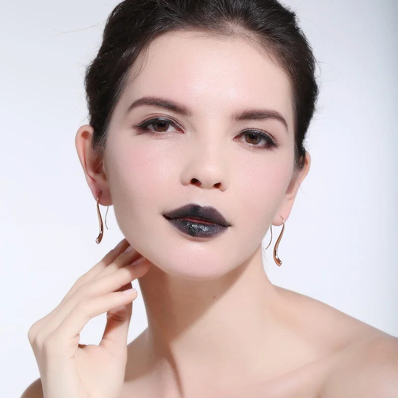 
RINNTIN OE168 Fashion Ear ring Jewelry Wholesale Silver Gold Plated Earrings hook for Women 