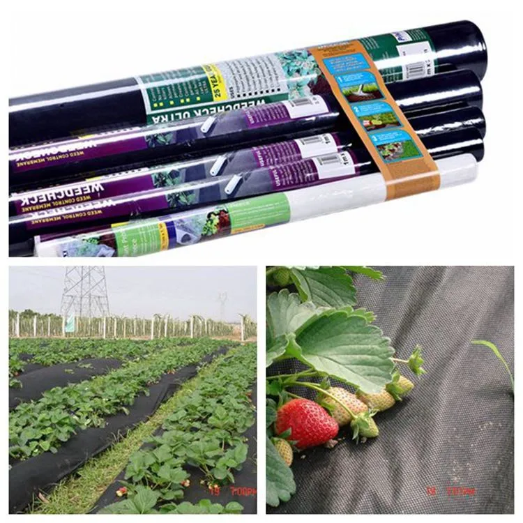agriculture greenhouse covering plant cover weed 100% pp Spunbond nonwoven fabric rolls for farm