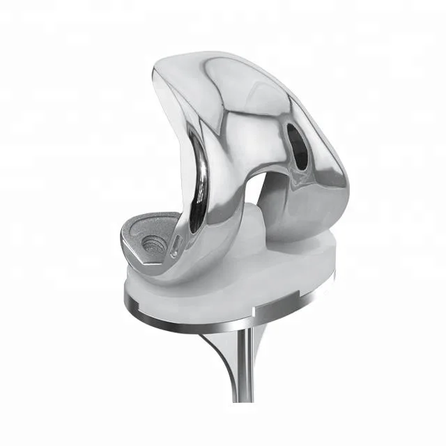 
Primary total knee replacement joint prosthesis 