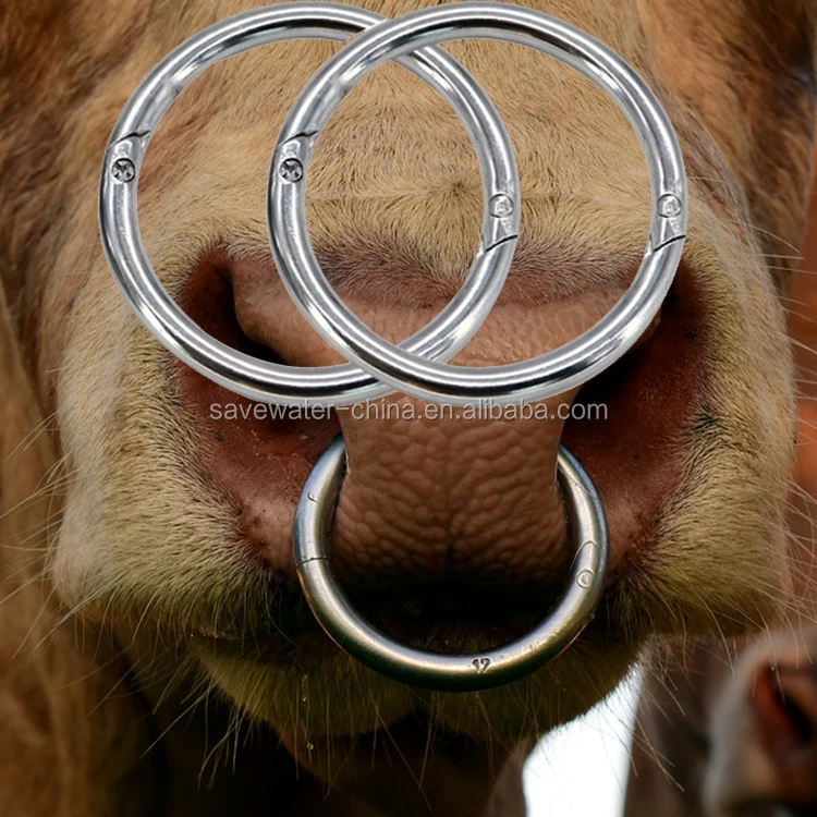 High quality anti-rust stainless steel Cattle Bull ring Cows nose rings