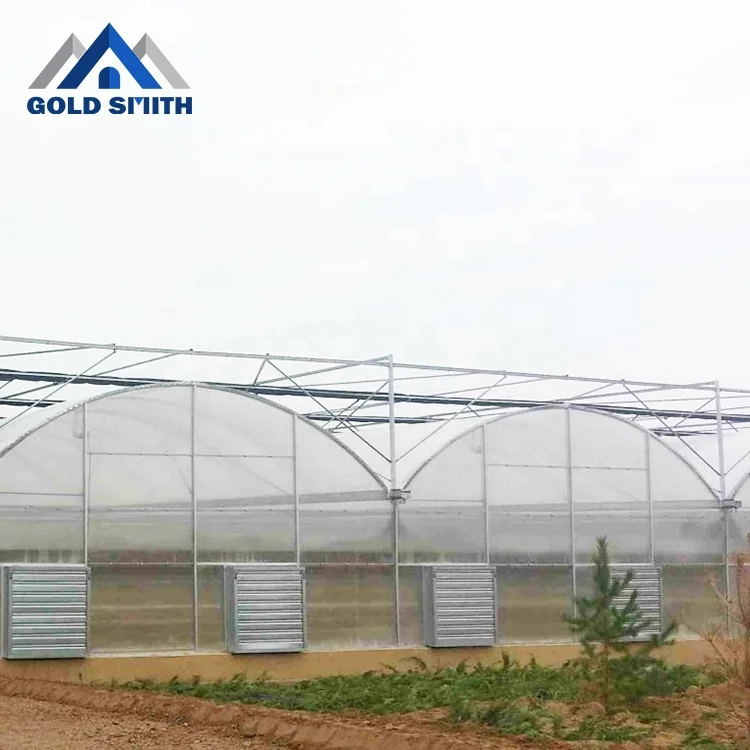 Multi Span Agricultural Film Greenhouse Using Hot Galvanized Steel Structure Frame