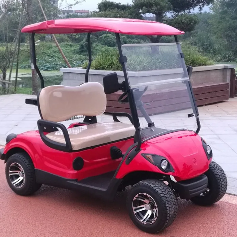 2 seat electric rechargeable mini golf cart for golf club