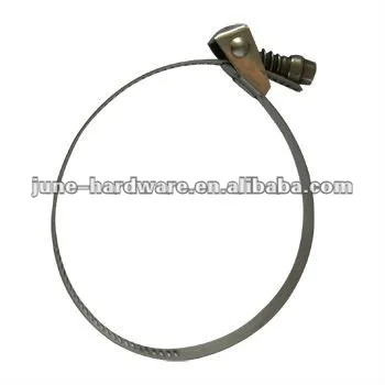 Stainless steel quick release hose clamp