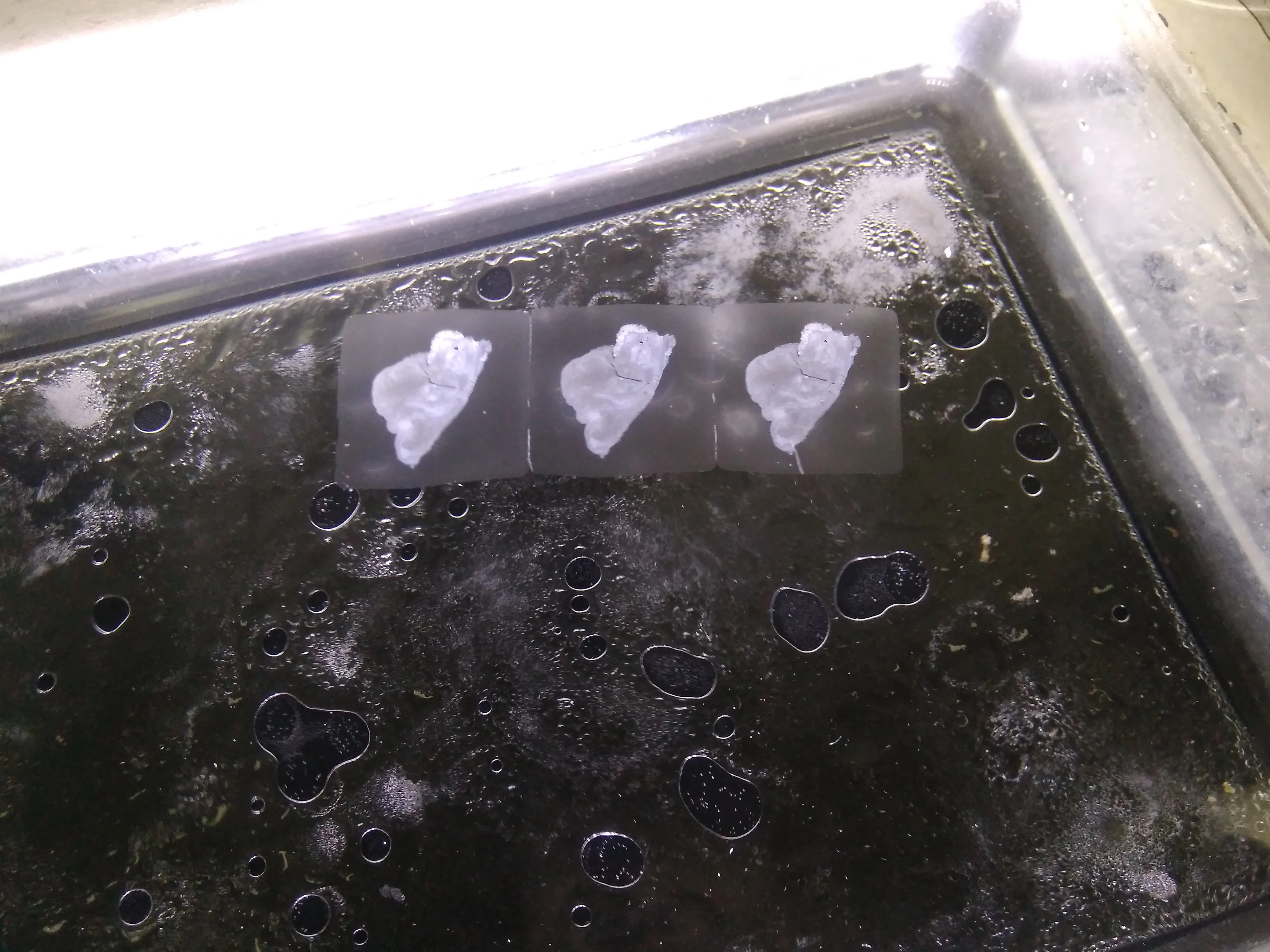 2-Mode Slicing Cutter for Pathology