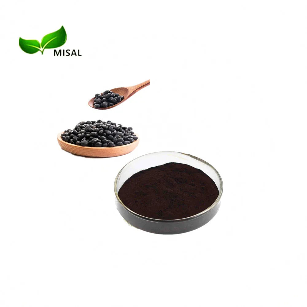 Hot Sale energy supplement black bean extract / black bean powder