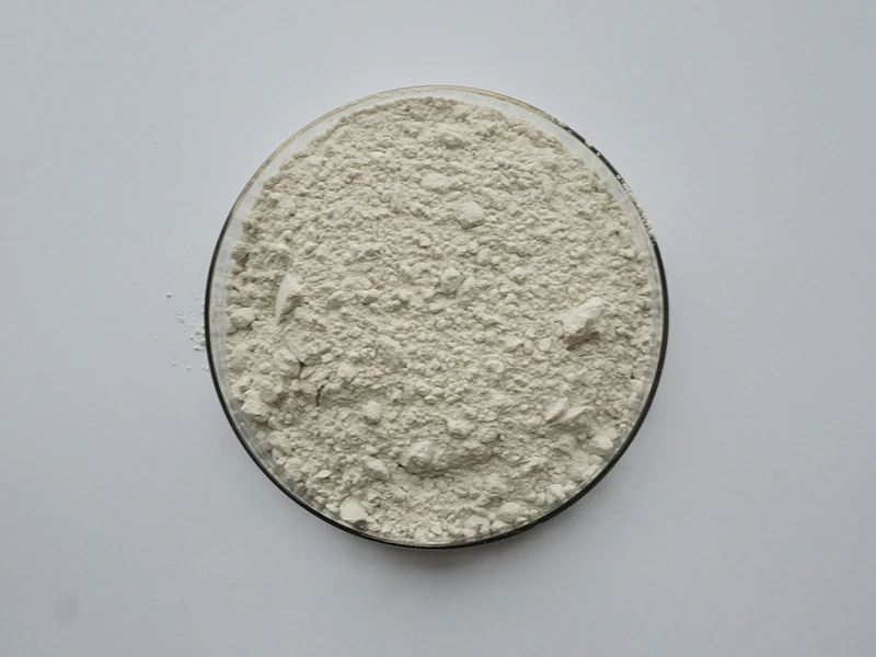 Leech Extract Natural Leech Hirudin Powder