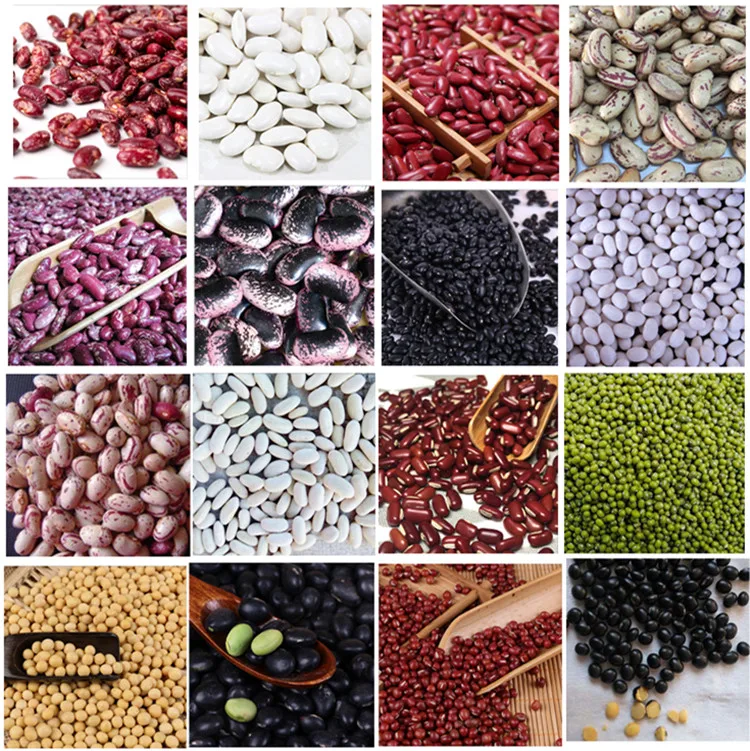 Bulk sale dry black kidney beans long black beans kidney