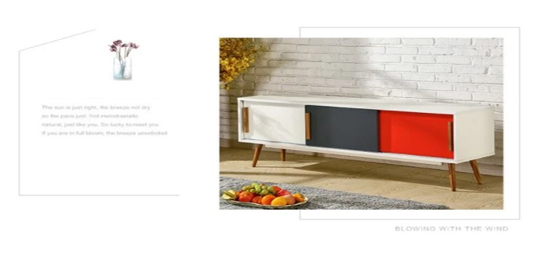 Modern Minimalist Multi-function Small TV Rack Cabinet Design Stand