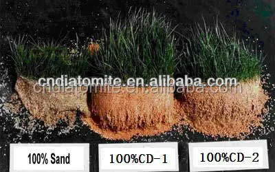 
horticultural grade diatomite Potting soil and hydroponic growing medium 