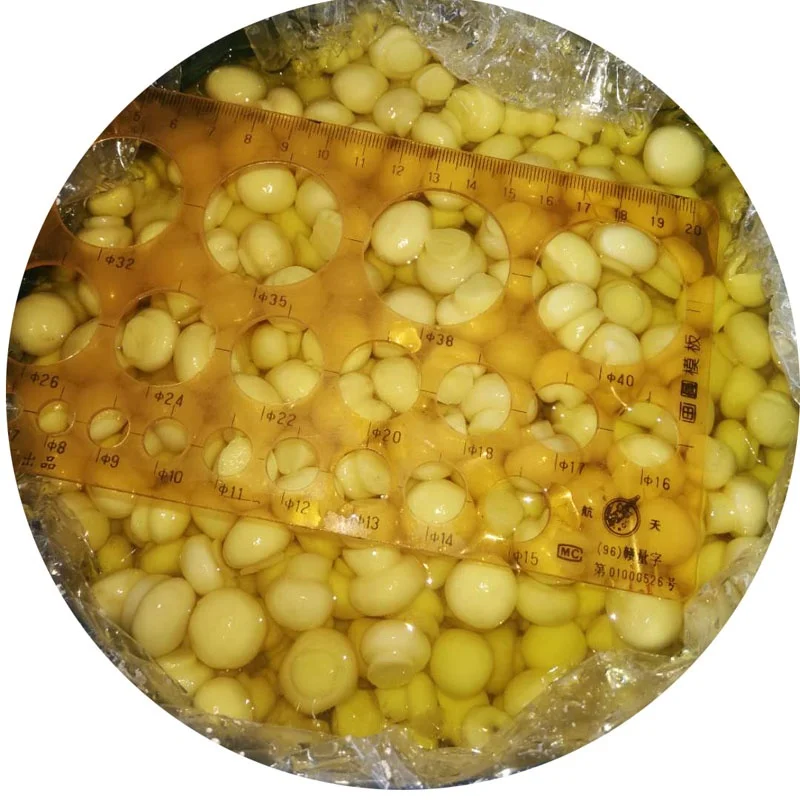 
D preserved mushroom in drum 