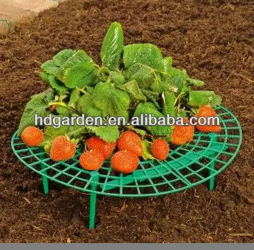 
strawberry support ,plant support 