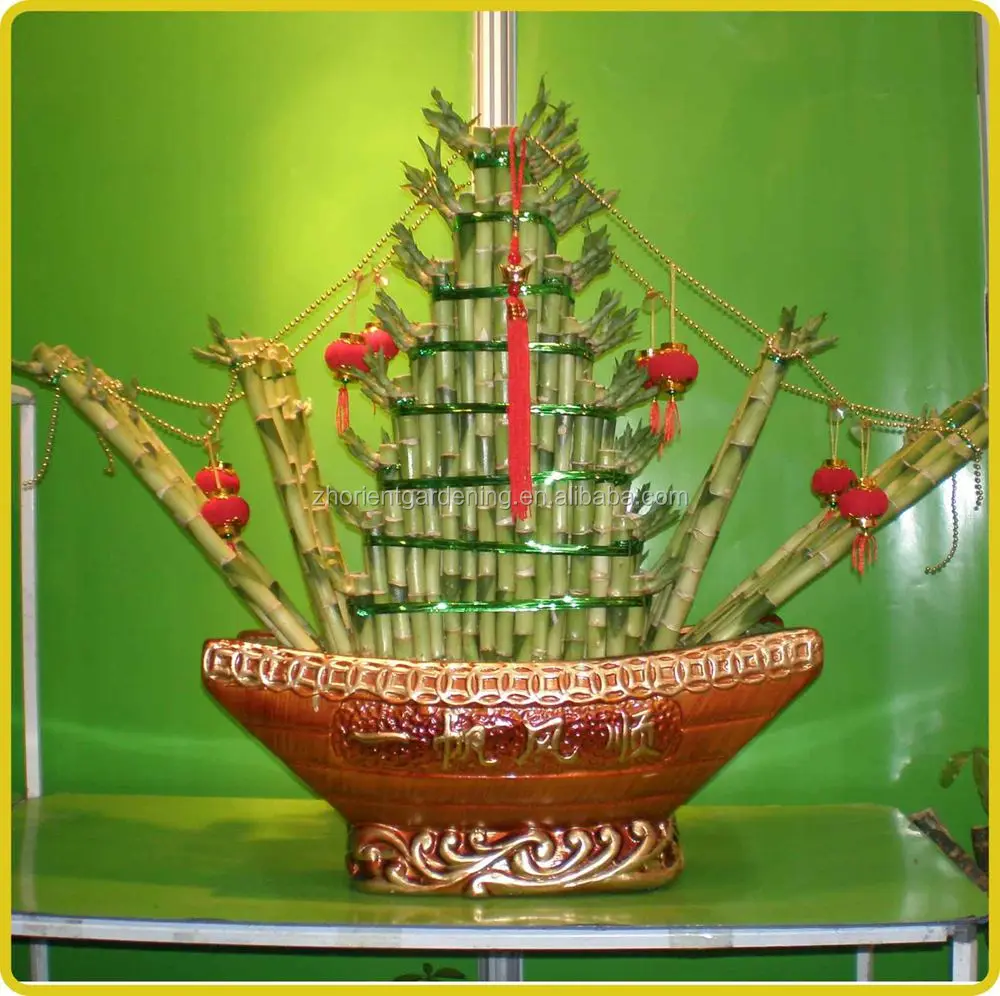 Воздушный бонсай в форме лодки, счастливый бамбук, драцена, сандерия