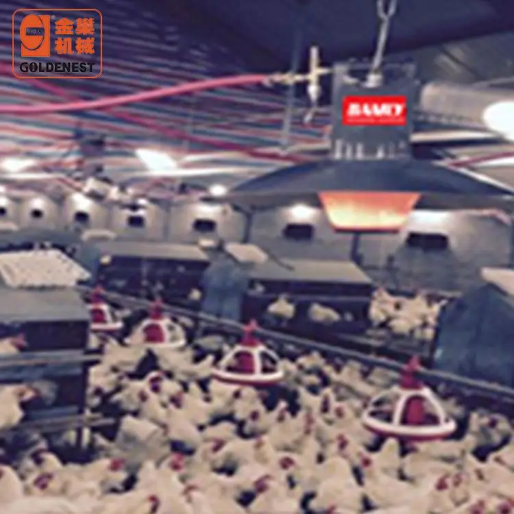 Poultry Equipment Electric Heater for Hens Baby Chick