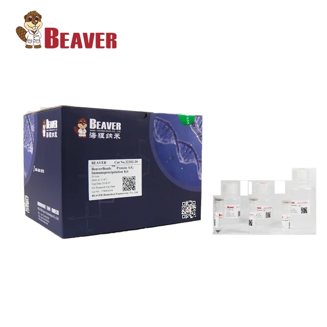 BeaverBeads TM Protein A/G Immunoprecipitation Kit Coated Superparamagnetic Microspheres