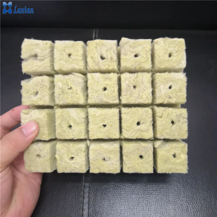 Agriculture grow rock wool cubes