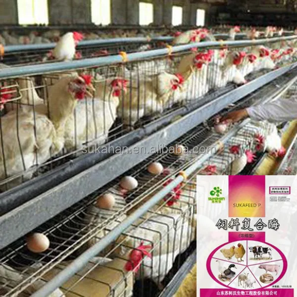 Sell Smizyme 5000PT (Phytase granular) feed enzyme