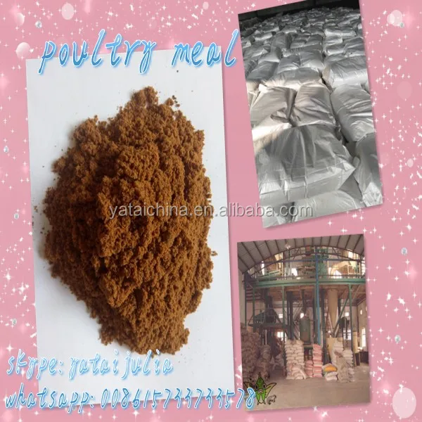 POULTRY MEAL STANDARD QUALITY 60% (factory direct sale)