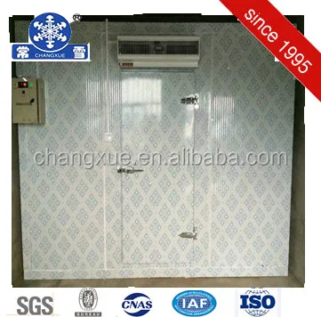 коммерческих холодильных холодная комната хранения овощей,